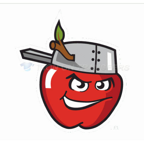 Fort Wayne Tincaps Iron-on Stickers (Heat Transfers)NO.8102